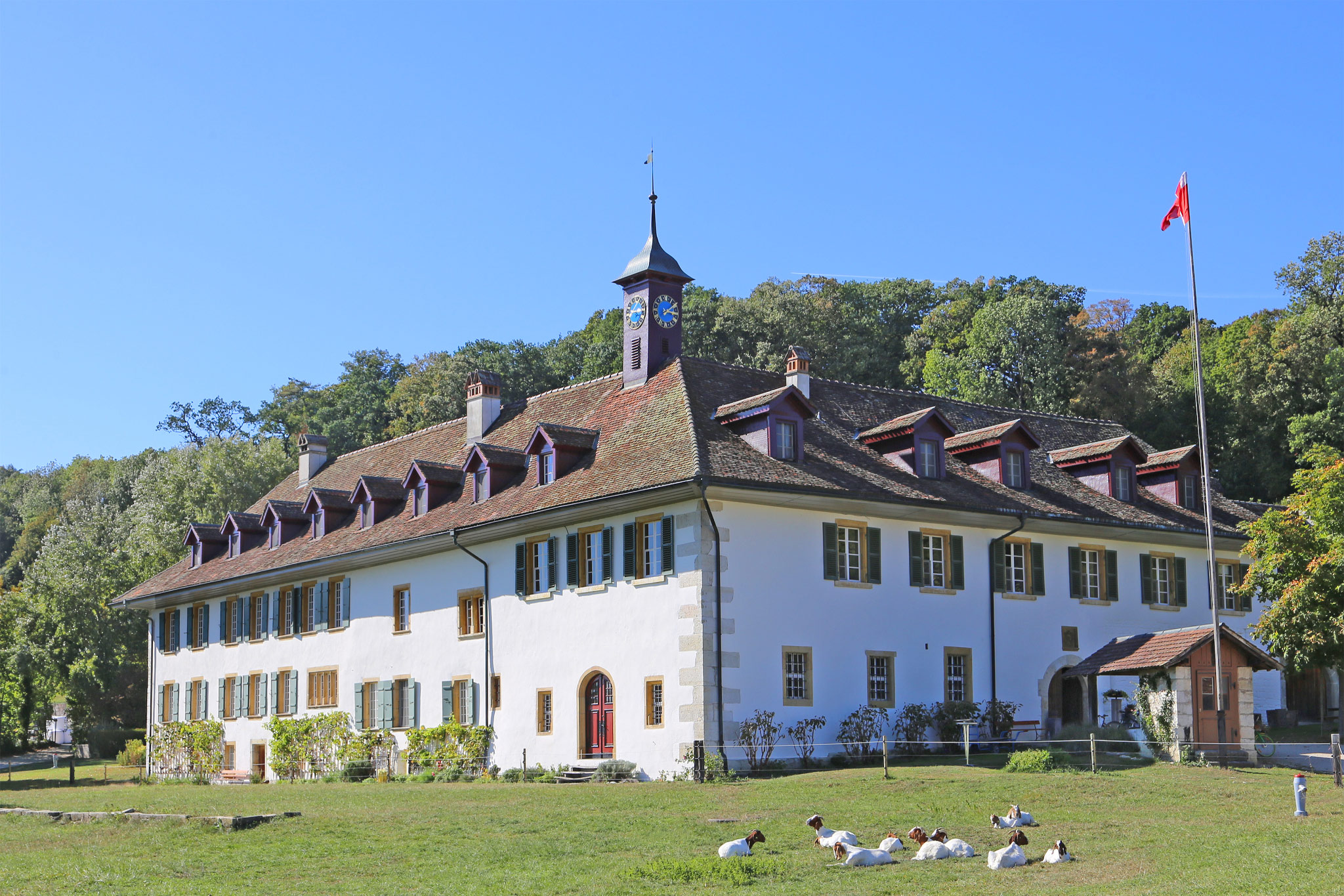 Peterinsel, Erlach